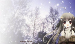 动漫雪,漫舞飘零的奇幻世界